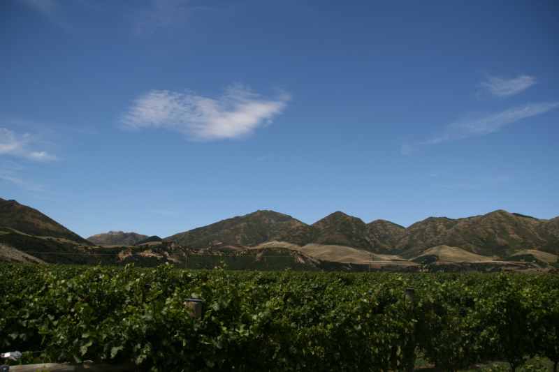 Nieuw-Zeeland 2011 - 1281